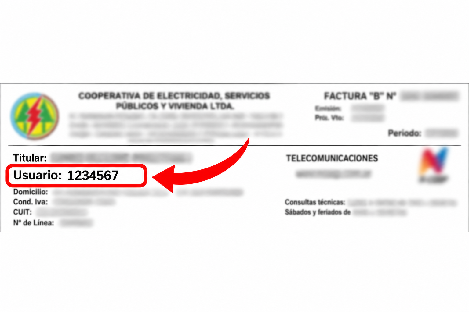Factura de ejemplo con Usuario 1234567 resaltado